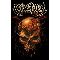 Sepultura Beneath The Remains Poster Flag